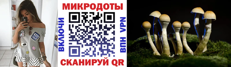 Псилоцибиновые грибы мухоморы Верхняя Салда